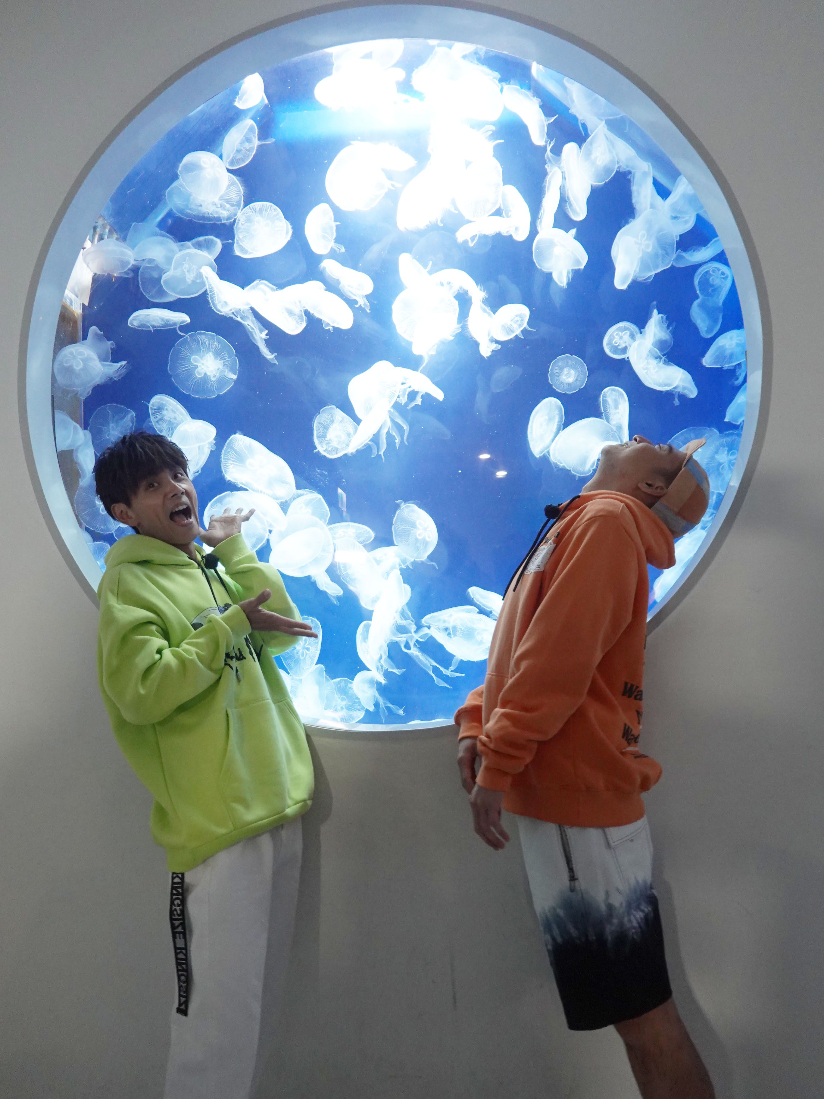 綜藝新時代 阿翔 籃籃誇張造型水母裝要清潔水母缸 水族館工作人員傻眼一句都說不出來 娛樂焦點 Gtv八大電視