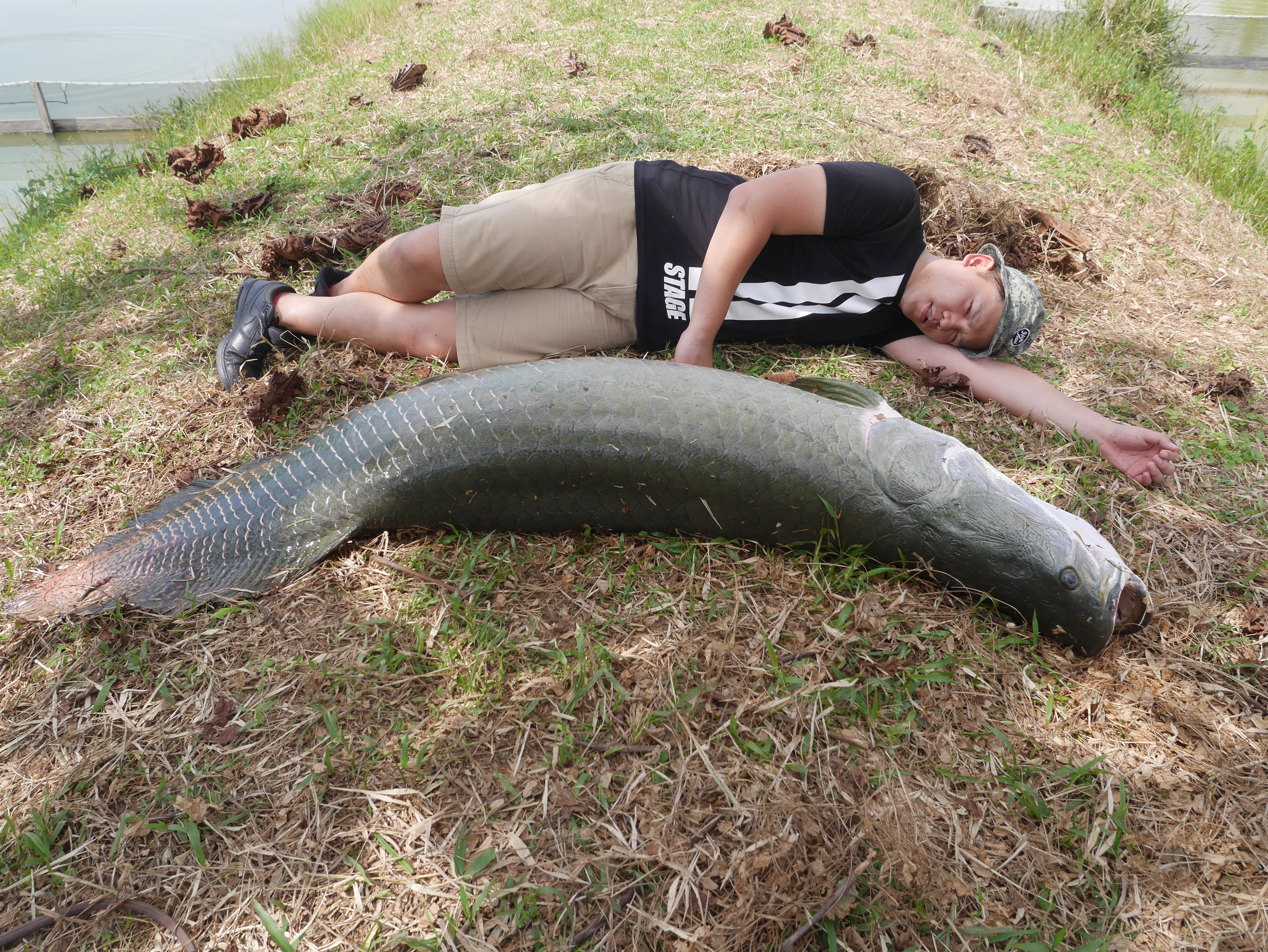 ç›§å­¸å¡æé¬¥è±¡é­šé‡£ç«¿é ‚è‚šç›´å'¼ å¥½ç—› å¨›æ¨‚ç„¦é»ž Gtvå…«å¤§é›»è¦–