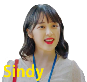 sindy